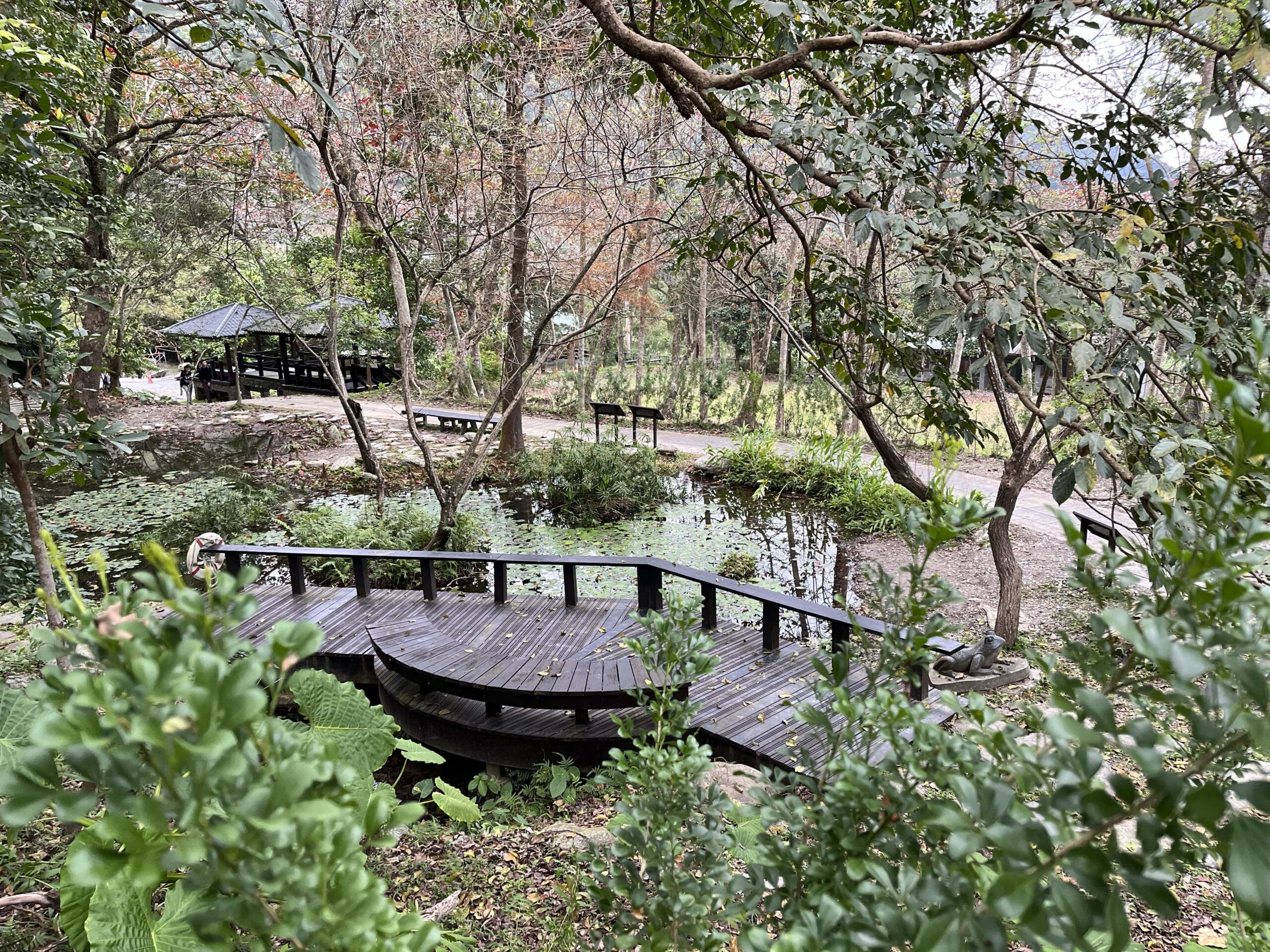 森林交響樂生態池