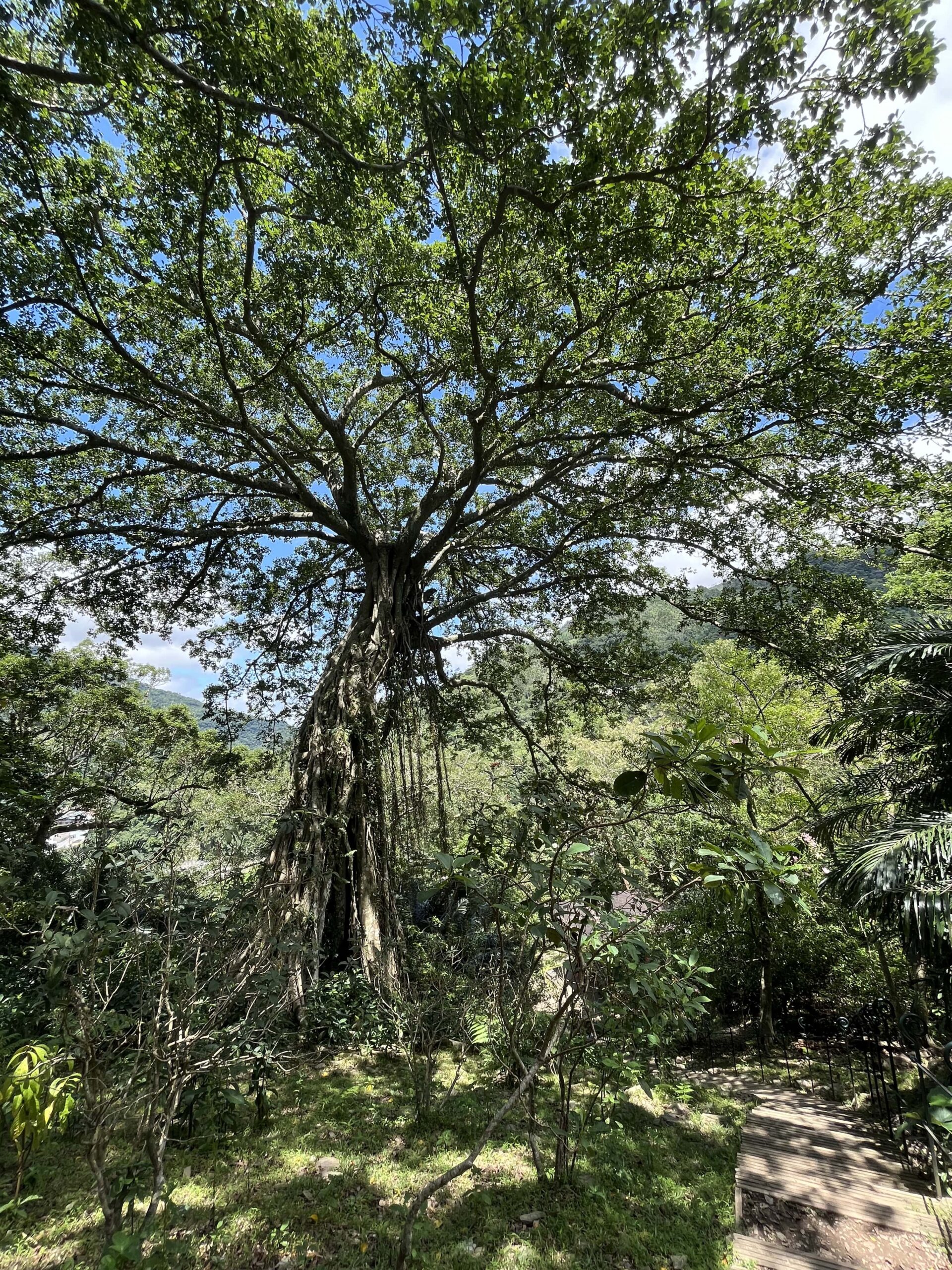 滿滿芬多精與動植物環繞~~