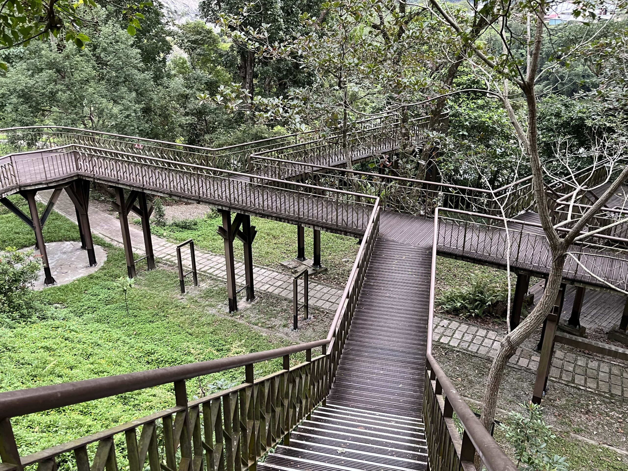 穿梭在樹林間的秘境