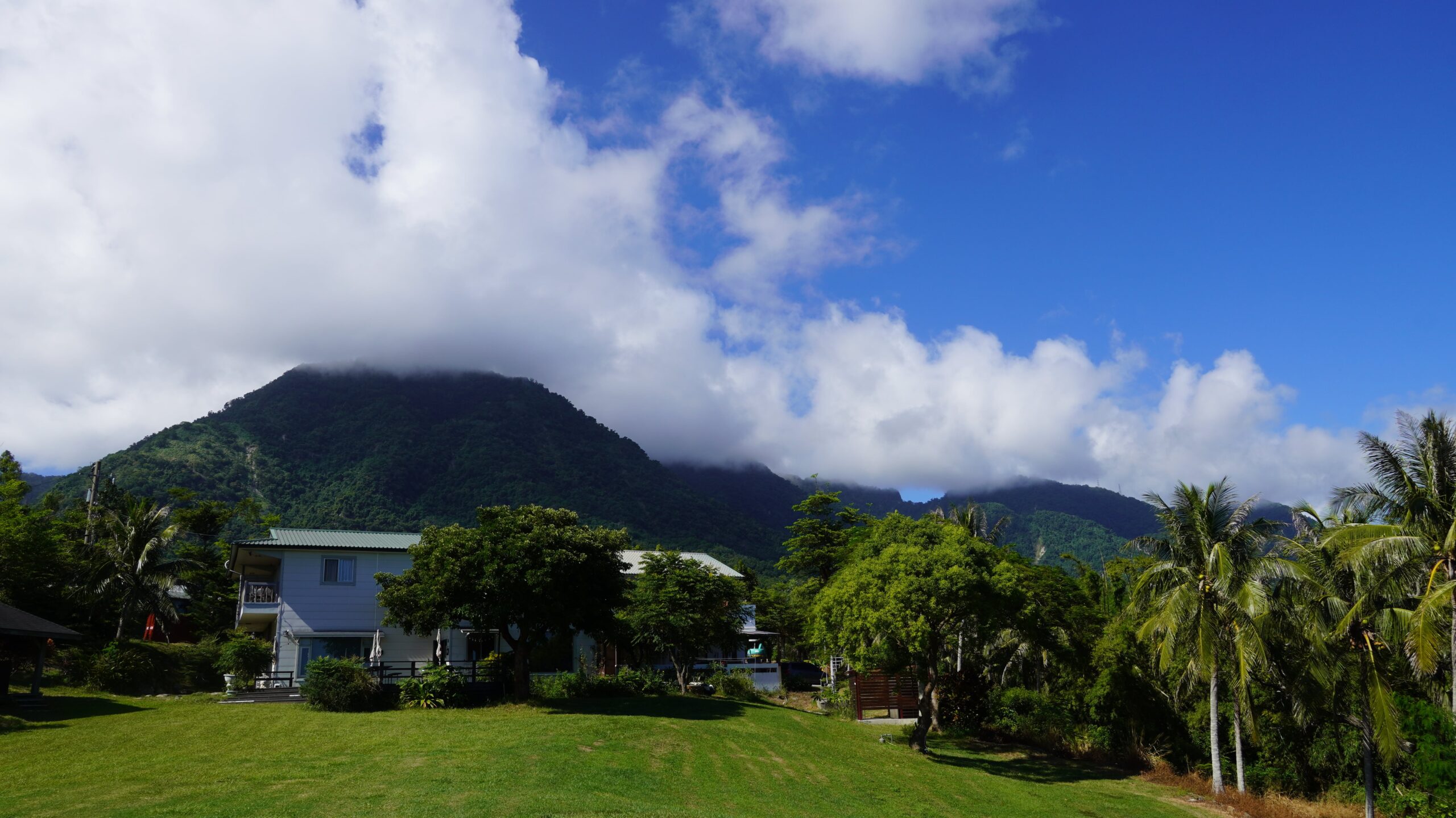 心林奇遇~森林裡的藝術靈感派對(山海民宿):圖片 34